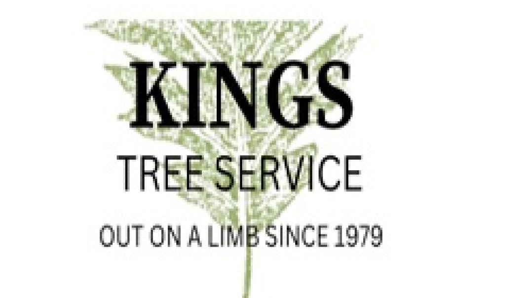 King's Tree Removal Service in Arizona